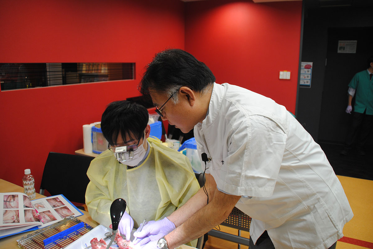 CEアドバンス歯周組織再生療法